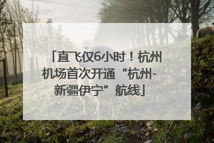 直飞仅6小时！杭州机场首次开通“杭州-新疆伊宁”航线