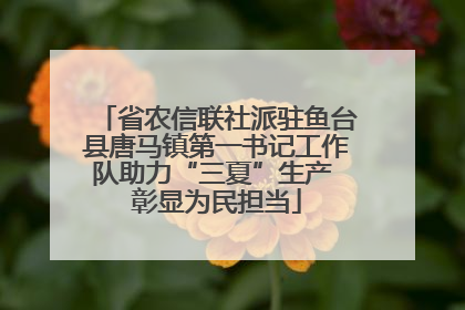 省农信联社派驻鱼台县唐马镇第一书记工作队助力“三夏”生产 彰显为民担当