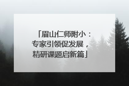 眉山仁师附小：专家引领促发展，精研课题启新篇
