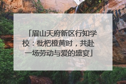 眉山天府新区行知学校：枇杷橙黄时，共赴一场劳动与爱的盛宴