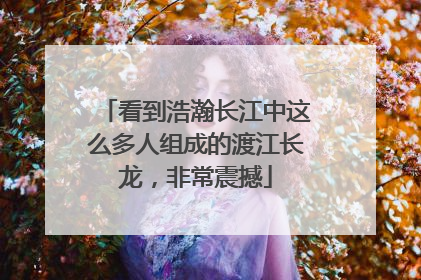 看到浩瀚长江中这么多人组成的渡江长龙，非常震撼