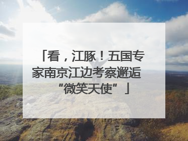 看，江豚！五国专家南京江边考察邂逅“微笑天使”