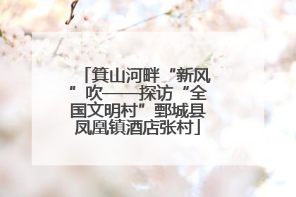 箕山河畔“新风”吹——探访“全国文明村”鄄城县凤凰镇酒店张村