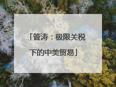 管涛：极限关税下的中美贸易