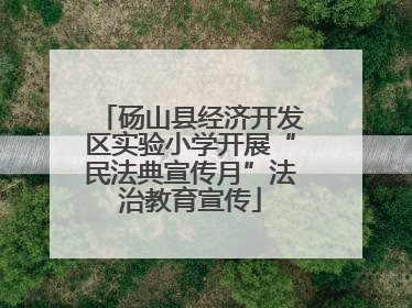 砀山县经济开发区实验小学开展“民法典宣传月”法治教育宣传