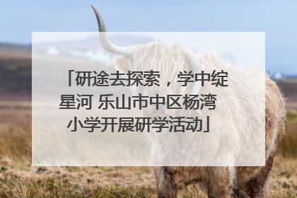 研途去探索，学中绽星河 乐山市中区杨湾小学开展研学活动