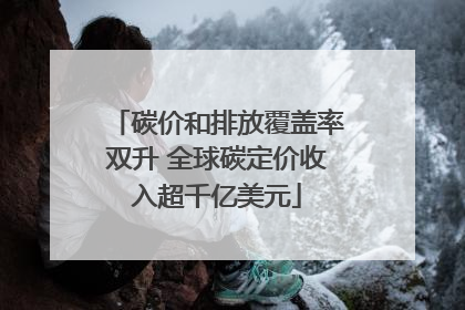 碳价和排放覆盖率双升 全球碳定价收入超千亿美元