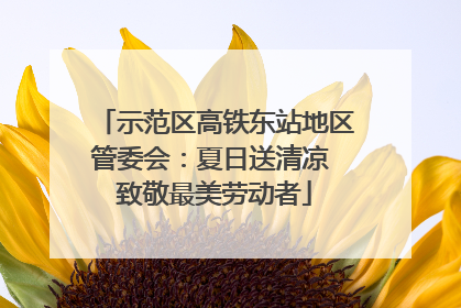 示范区高铁东站地区管委会：夏日送清凉 致敬最美劳动者
