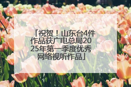 祝贺！山东台4件作品获广电总局2025年第一季度优秀网络视听作品