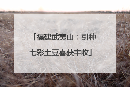 福建武夷山：引种七彩土豆喜获丰收