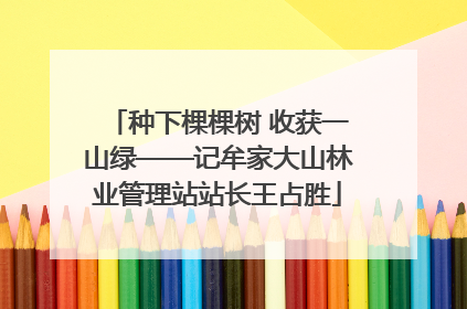 种下棵棵树 收获一山绿——记牟家大山林业管理站站长王占胜