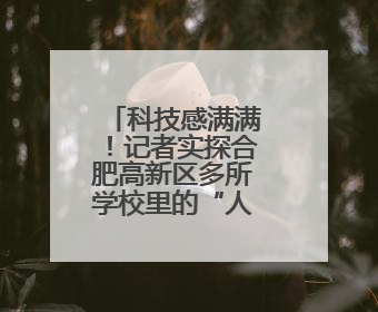 科技感满满！记者实探合肥高新区多所学校里的“人工智能”
