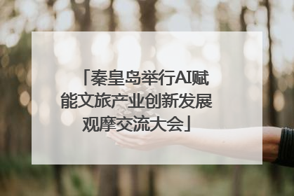 秦皇岛举行AI赋能文旅产业创新发展观摩交流大会
