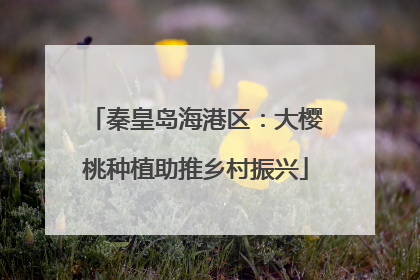 秦皇岛海港区：大樱桃种植助推乡村振兴