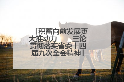 积蓄向前发展更大推动力——三论贯彻落实省委十四届九次全会精神