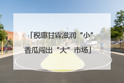 税惠甘霖滋润“小”香瓜闯出“大”市场