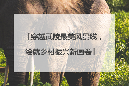 穿越武陵最美风景线，绘就乡村振兴新画卷