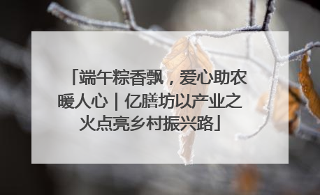端午粽香飘，爱心助农暖人心｜亿膳坊以产业之火点亮乡村振兴路