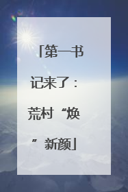 第一书记来了：荒村“焕”新颜