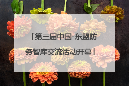 第三届中国-东盟防务智库交流活动开幕