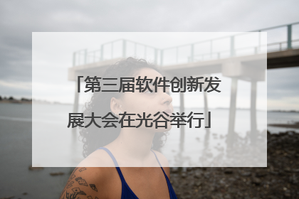 第三届软件创新发展大会在光谷举行