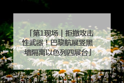 第1现场｜拒撤攻击性武器！巴黎航展竖黑墙隔离以色列四展台