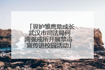 翼护雏鹰助成长 武汉市司法局何湾强戒所开展禁毒宣传进校园活动