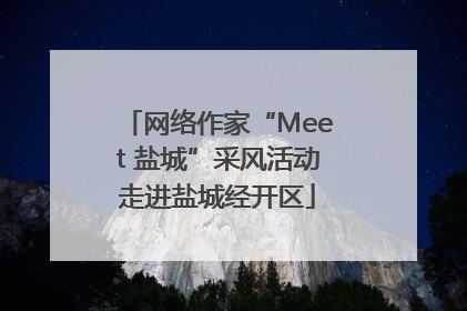 网络作家“Meet 盐城”采风活动走进盐城经开区