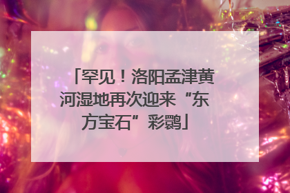 罕见！洛阳孟津黄河湿地再次迎来“东方宝石”彩鹮