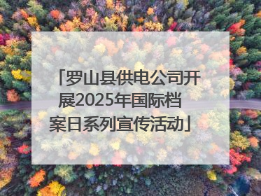 罗山县供电公司开展2025年国际档案日系列宣传活动