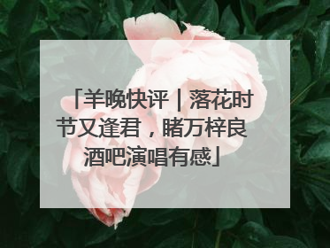 羊晚快评｜落花时节又逢君，睹万梓良酒吧演唱有感