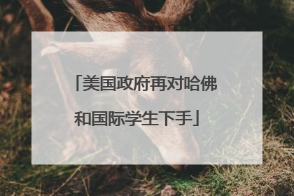 美国政府再对哈佛和国际学生下手