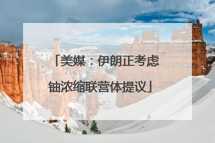 美媒：伊朗正考虑铀浓缩联营体提议