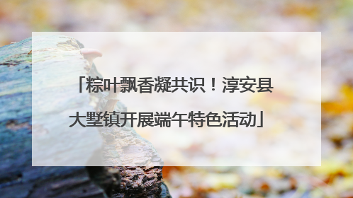 粽叶飘香凝共识！淳安县大墅镇开展端午特色活动