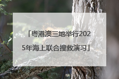 粤港澳三地举行2025年海上联合搜救演习