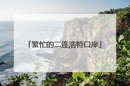 繁忙的二连浩特口岸