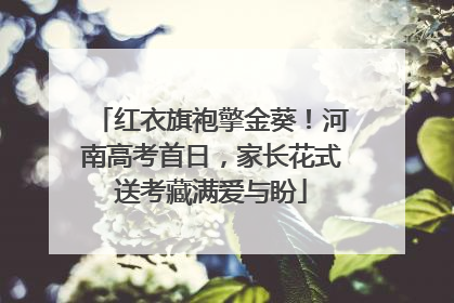 红衣旗袍擎金葵！河南高考首日，家长花式送考藏满爱与盼