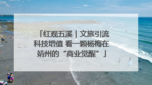 红观五溪｜文旅引流 科技增值 看一颗杨梅在靖州的“商业觉醒”
