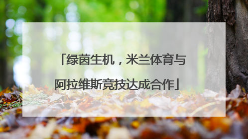 绿茵生机，米兰体育与阿拉维斯竞技达成合作