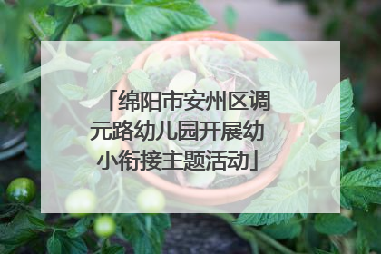 绵阳市安州区调元路幼儿园开展幼小衔接主题活动