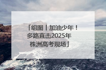 组图丨加油少年！多路直击2025年株洲高考现场