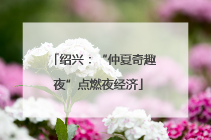 绍兴：“仲夏奇趣夜”点燃夜经济