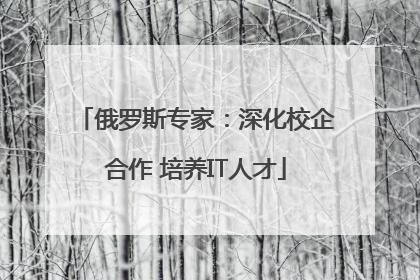 俄罗斯专家：深化校企合作 培养IT人才