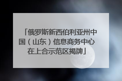 俄罗斯新西伯利亚州中国（山东）信息商务中心在上合示范区揭牌