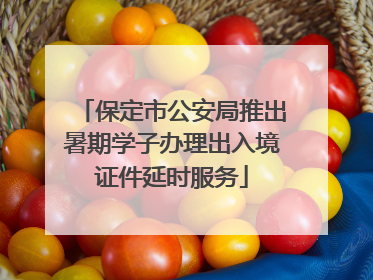 保定市公安局推出暑期学子办理出入境证件延时服务