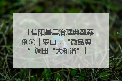 信阳基层治理典型案例⑧｜罗山：“微品牌”调出“大和谐”