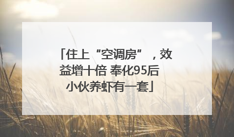 住上“空调房”，效益增十倍 奉化95后小伙养虾有一套