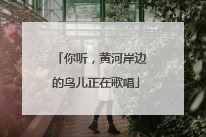 你听，黄河岸边的鸟儿正在歌唱