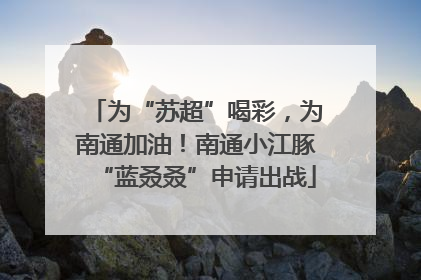 为“苏超”喝彩，为南通加油！南通小江豚“蓝叒叒”申请出战