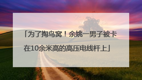 为了掏鸟窝！余姚一男子被卡在10余米高的高压电线杆上